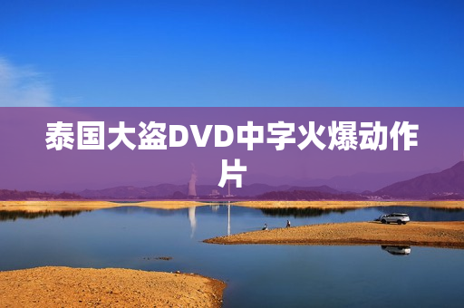 泰国大盗DVD中字火爆动作片