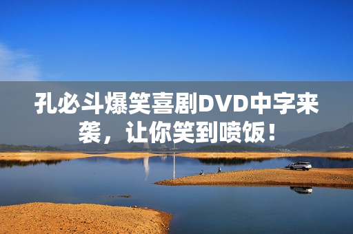 孔必斗爆笑喜剧DVD中字来袭，让你笑到喷饭！