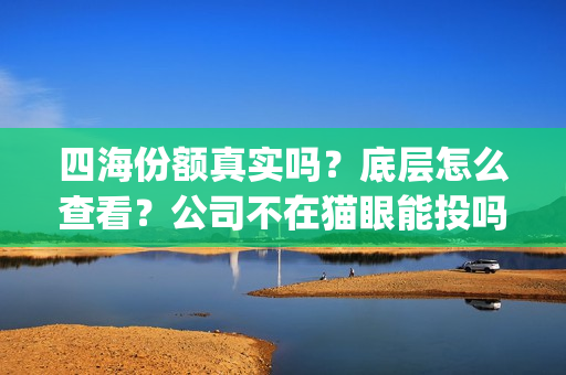 四海份额真实吗？底层怎么查看？公司不在猫眼能投吗？(四海值得投资吗)