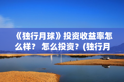 《独行月球》投资收益率怎么样？ 怎么投资？(独行月球发行方)