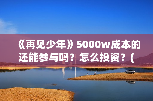 《再见少年》5000w成本的还能参与吗？怎么投资？(再见,少年作文550字)