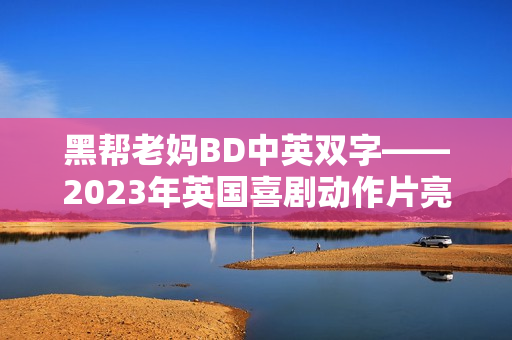 黑帮老妈BD中英双字——2023年英国喜剧动作片亮相！