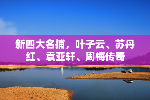 新四大名捕，叶子云、苏丹红、袁亚轩、周梅传奇