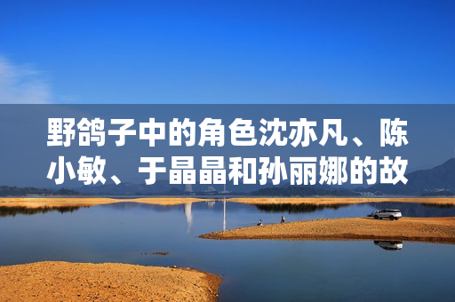 野鸽子中的角色沈亦凡、陈小敏、于晶晶和孙丽娜的故事