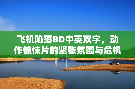 飞机陷落BD中英双字，动作惊悚片的紧张氛围与危机重重（2023年英国电影）