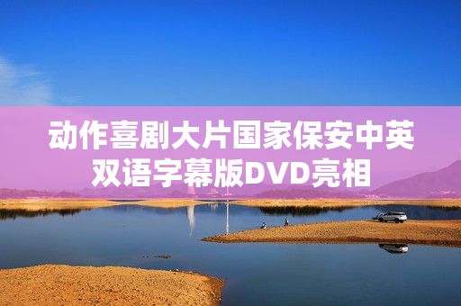 动作喜剧大片国家保安中英双语字幕版DVD亮相