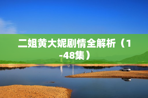 二姐黄大妮剧情全解析（1-48集）