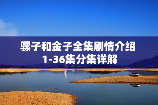 骡子和金子全集剧情介绍 1-36集分集详解