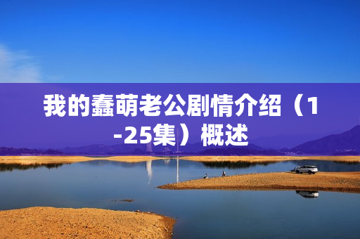 我的蠢萌老公剧情介绍（1-25集）概述