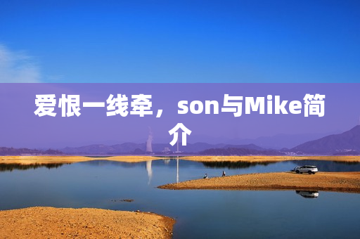 爱恨一线牵，son与Mike简介