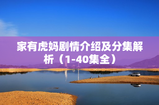 家有虎妈剧情介绍及分集解析（1-40集全）