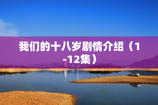 我们的十八岁剧情介绍（1-12集）