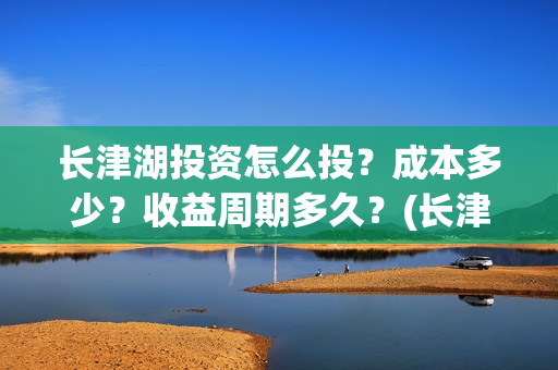 长津湖投资怎么投？成本多少？收益周期多久？(长津湖投资太大估计亏本)
