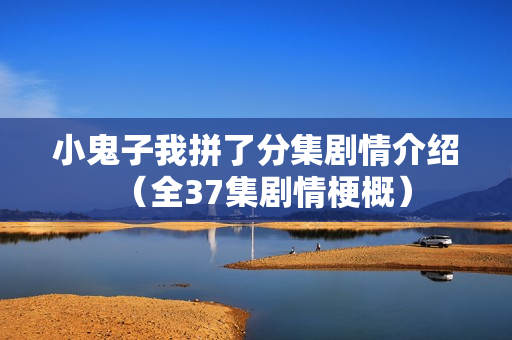 小鬼子我拼了分集剧情介绍（全37集剧情梗概）