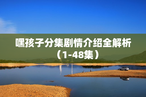 嘿孩子分集剧情介绍全解析（1-48集）