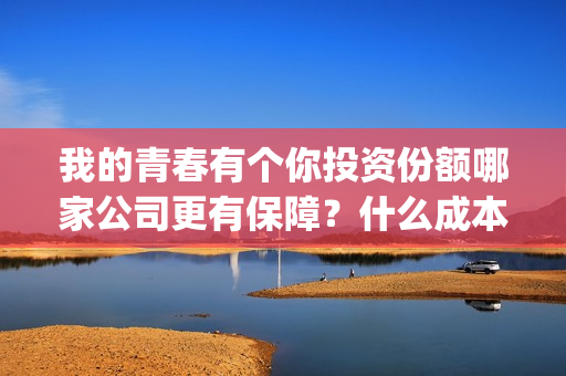 我的青春有个你投资份额哪家公司更有保障？什么成本？投资收益多少？(我的青春有个你演员表)