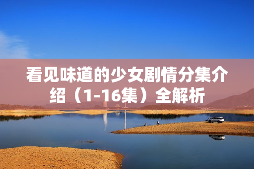 看见味道的少女剧情分集介绍（1-16集）全解析