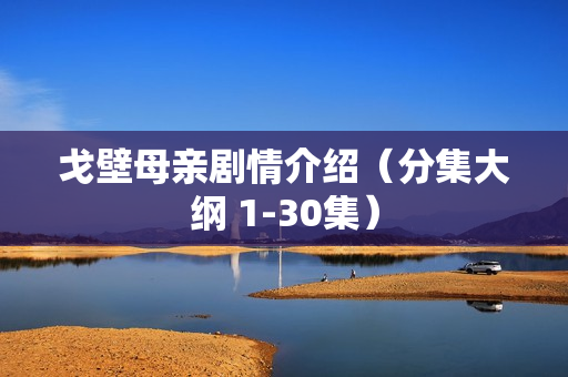 戈壁母亲剧情介绍（分集大纲 1-30集）