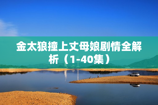 金太狼撞上丈母娘剧情全解析（1-40集）