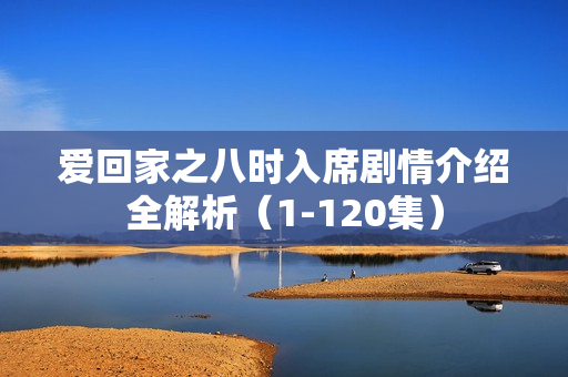 爱回家之八时入席剧情介绍全解析（1-120集）