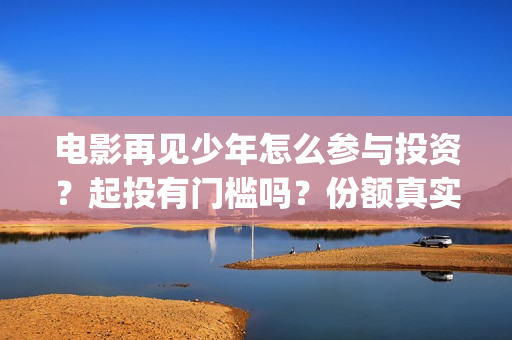 电影再见少年怎么参与投资？起投有门槛吗？份额真实吗？(再见少年咋样)