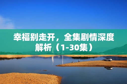 幸福别走开，全集剧情深度解析（1-30集）