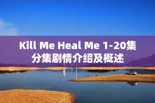 Kill Me Heal Me 1-20集分集剧情介绍及概述 Kill Me Heal Me 1-20集分集剧情介绍及概述