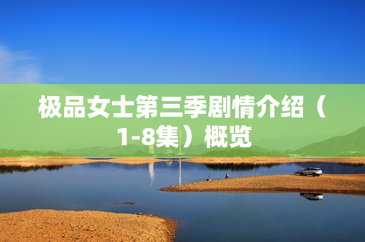 极品女士第三季剧情介绍（1-8集）概览