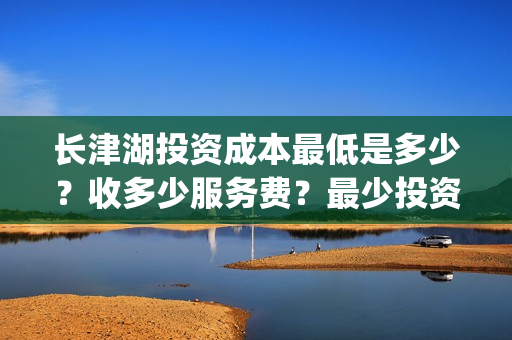 长津湖投资成本最低是多少？收多少服务费？最少投资多少钱？(长津湖投资成本高吗)