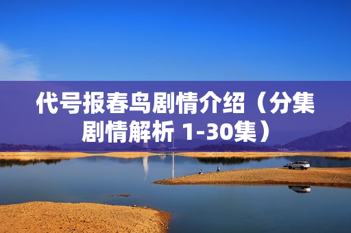 代号报春鸟剧情介绍（分集剧情解析 1-30集）