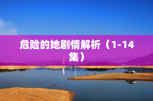 危险的她剧情解析（1-14集）