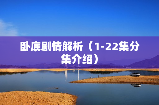 卧底剧情解析（1-22集分集介绍）