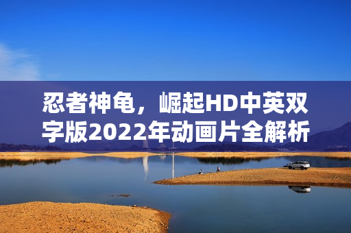 忍者神龟，崛起HD中英双字版2022年动画片全解析