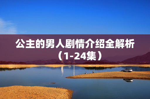 公主的男人剧情介绍全解析（1-24集）