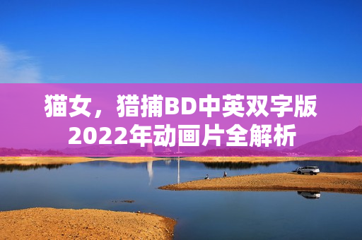 猫女，猎捕BD中英双字版2022年动画片全解析