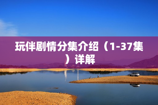 玩伴剧情分集介绍（1-37集）详解