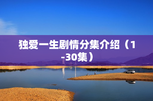 独爱一生剧情分集介绍(1-30集) 独爱一生剧情分集介绍(1-30集)