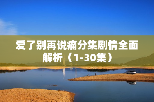 爱了别再说痛分集剧情全面解析(1-30集) 爱了别再说痛分集剧情全面解析(1-30集)