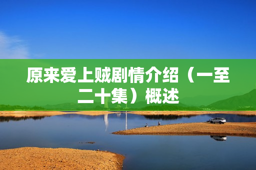 原来爱上贼剧情介绍（一至二十集）概述