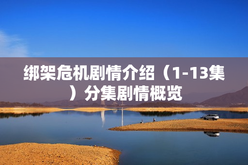 绑架危机剧情介绍（1-13集）分集剧情概览