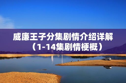 威廉王子分集剧情介绍详解(1-14集剧情梗概) 威廉王子分集剧情介绍详解(1-14集剧情梗概)