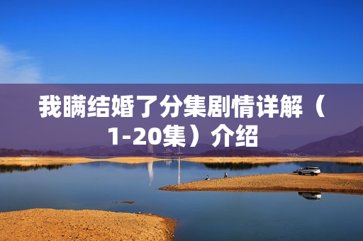 我瞒结婚了分集剧情详解（1-20集）介绍