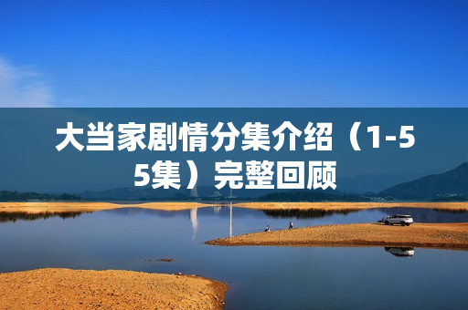 大当家剧情分集介绍（1-55集）完整回顾