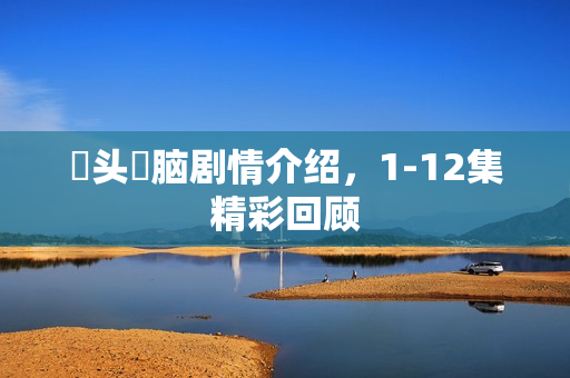 槑头槑脑剧情介绍，1-12集精彩回顾