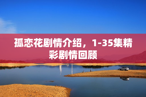 孤恋花剧情介绍，1-35集精彩剧情回顾