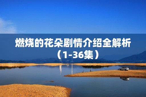 燃烧的花朵剧情介绍全解析（1-36集）