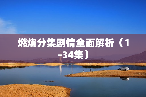 燃烧分集剧情全面解析（1-34集）