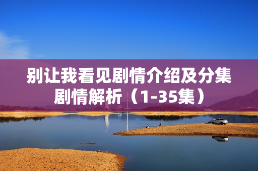 别让我看见剧情介绍及分集剧情解析（1-35集）