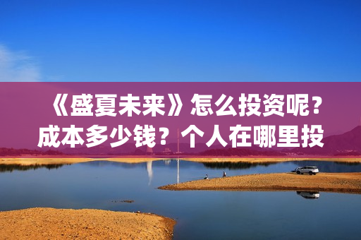《盛夏未来》怎么投资呢？成本多少钱？个人在哪里投？门槛多少？(《盛夏未来》怎么写作文)