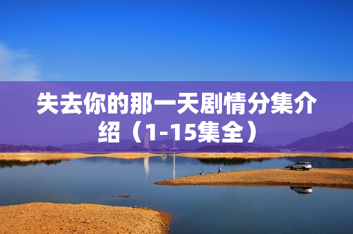 失去你的那一天剧情分集介绍（1-15集全）